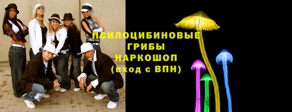 эйфоретик Алексин