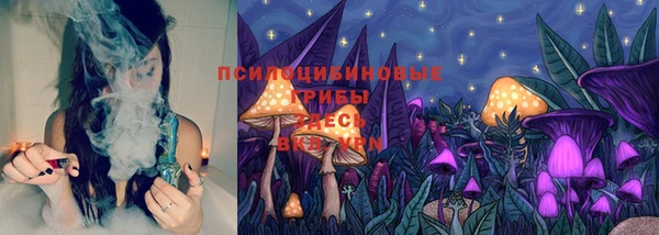 эйфоретик Алексин