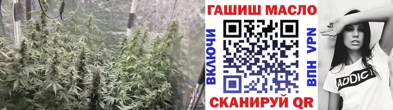 ТГК вейп с тгк  как найти   Александровское 